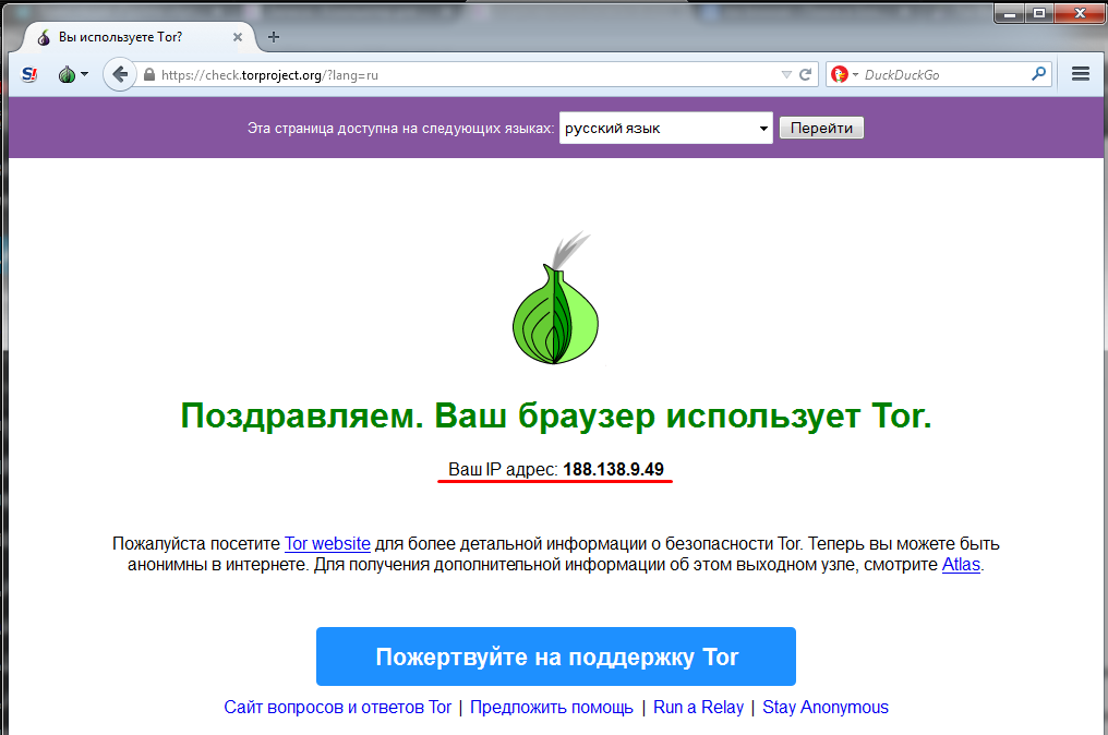 tor browser error hydra